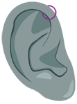 Piercing oreille anti-hélix