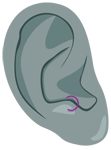 Piercing oreille anti-tragus