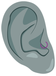 Piercing oreille tragus